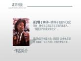 第4课《海燕》课件2022-2023学年部编版语文九年级下册