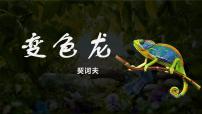 人教部编版九年级下册变色龙图文课件ppt