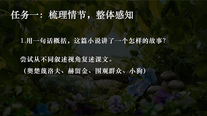 第6课《变色龙》课件2022-2023学年部编版语文九年级下册05