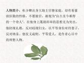 4《儒林外史》名著导读（第31—44回）-初中整本书阅读系列课件PPT