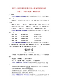 专题二 词语（成语）辨析及运用（原卷+解析）-2022-2023学年中考语文一轮复习强化训练（全国版）