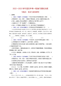 专题三 标点与病句辨析（原卷+解析）-2022-2023学年中考语文一轮复习强化训练（全国版）