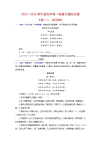 专题十八 诗词赏析（原卷+解析）-2022-2023学年中考语文一轮复习强化训练（全国版）