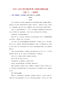 专题十二 小说阅读（原卷+解析）-2022-2023学年中考语文一轮复习强化训练（全国版）