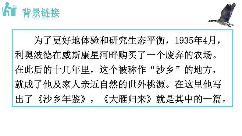 第7课《大雁归来》课件04