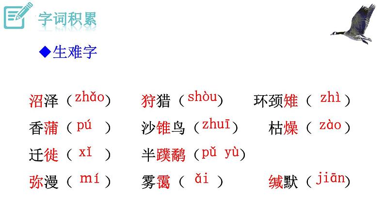 第7课《大雁归来》课件05