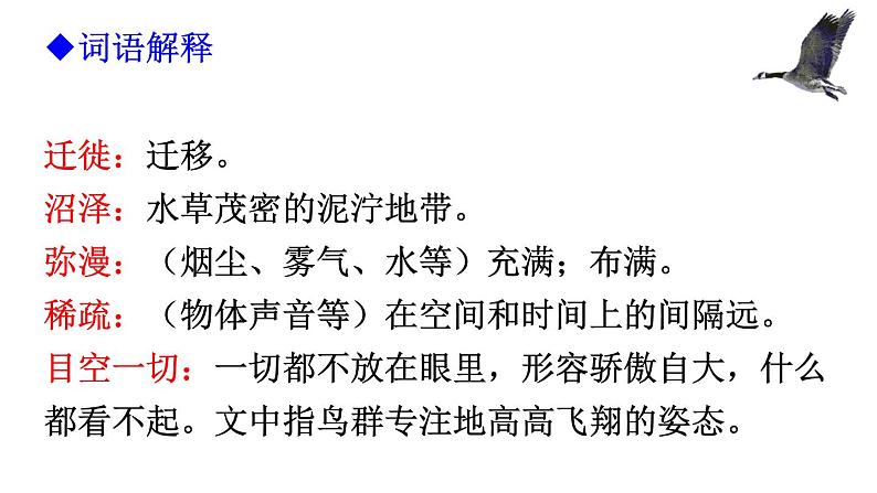 第7课《大雁归来》课件06
