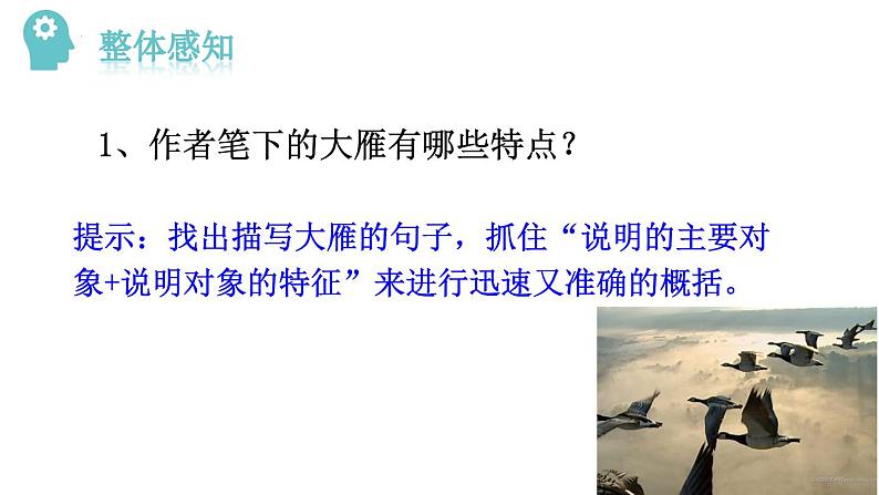 第7课《大雁归来》课件07