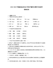 2022-2023学湖南省永州市八年级下册语文期中专项提升模拟试卷（含解析）
