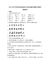 2022-2023学年河北省石家庄市八年级上册语文期末专项提升模拟试卷（含解析）