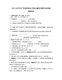 2022-2023学云广东省东莞市八年级上册语文期中专项突破模拟试卷（含解析）