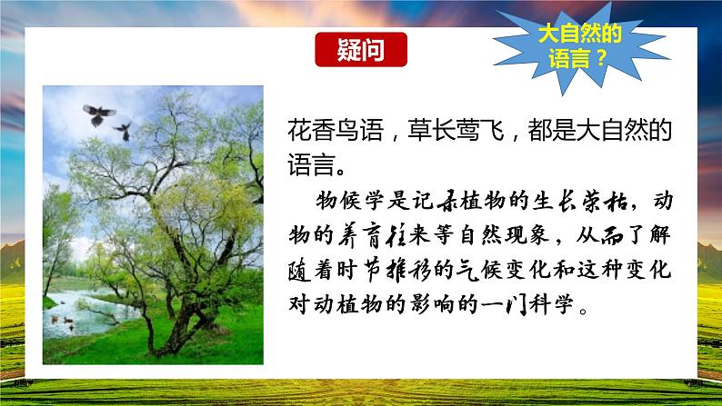 第5课《大自然的语言》课件    部编版语文八年级下册第5页