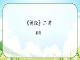 12《诗经》二首课件