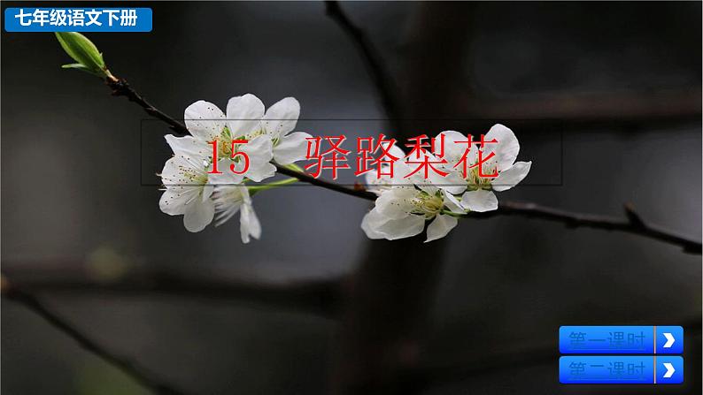 部编版七年级语文下册--15 驿路梨花（课件）01