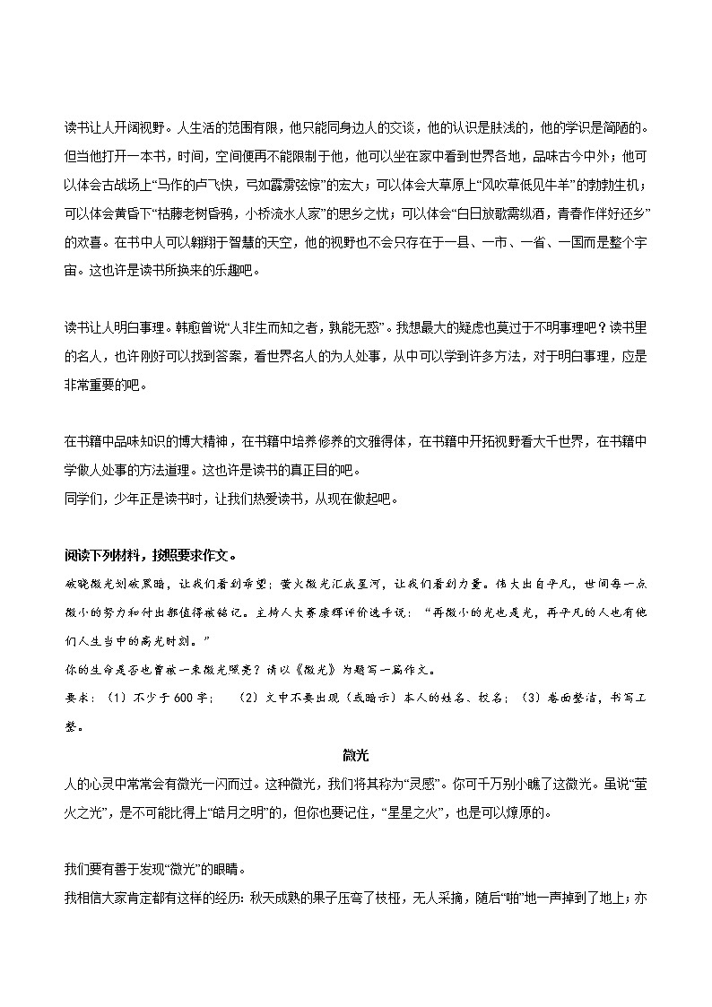 专题19  《青的幸福》《少年正是读书时》《微光》《我走过了风雨》《与书的美丽邂逅》《坚守》-冲刺中考语文考场作文必背范文100篇第3页