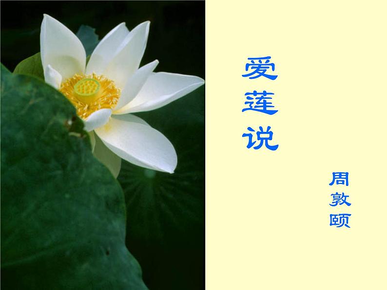 部编版七年级语文下册--17.短文两篇-爱莲说（课件3）第1页