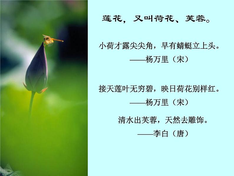 部编版七年级语文下册--17.短文两篇-爱莲说（课件3）第2页