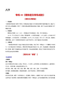 专练09 八下《钢铁是怎样炼成的》-中考语文名著导读专练（全国通用）