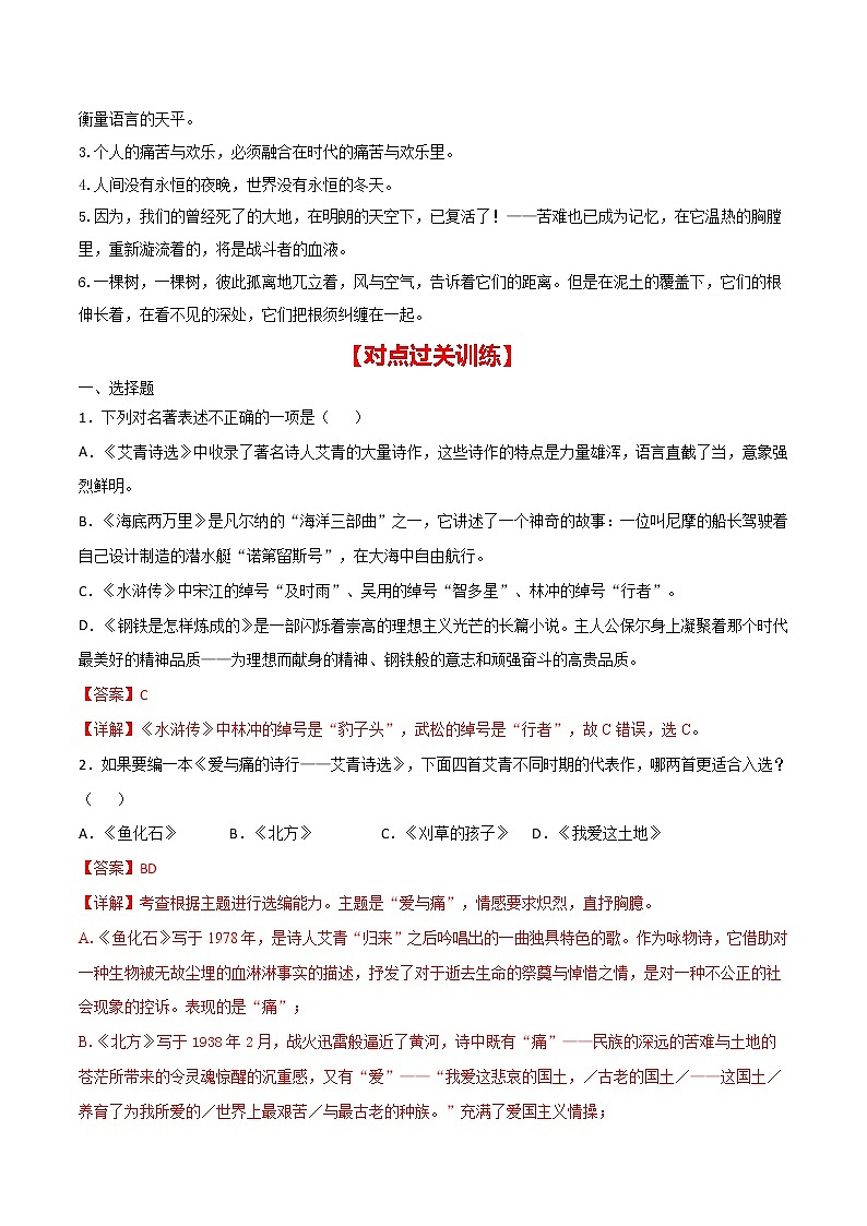 专练10 九上《艾青诗选》中考语文综合性学习专练（全国通用）（解析版）第2页