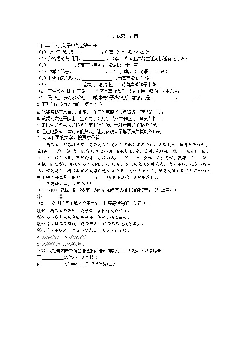 2022—2023 学年福建省厦门市七年级上册语文期末专项突破模拟试卷02