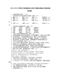 2022-2023学年辽宁省沈阳市七年级下册语文期末专项提升模拟试题（含解析）