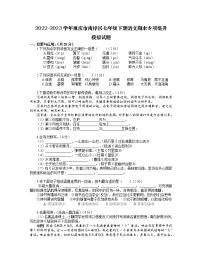 2022-2023学年重庆市南岸区七年级下册语文期末专项提升模拟试题（含解析）
