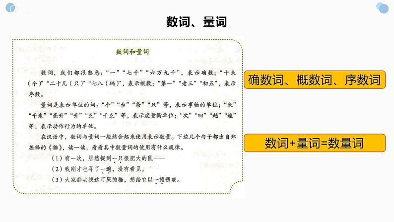 实词词性及语法成分   课件  2023年中考语文一轮复习第7页