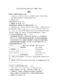 2023年贵州省黔南布依族苗族自治州惠水县中考一模语文试题（含答案）
