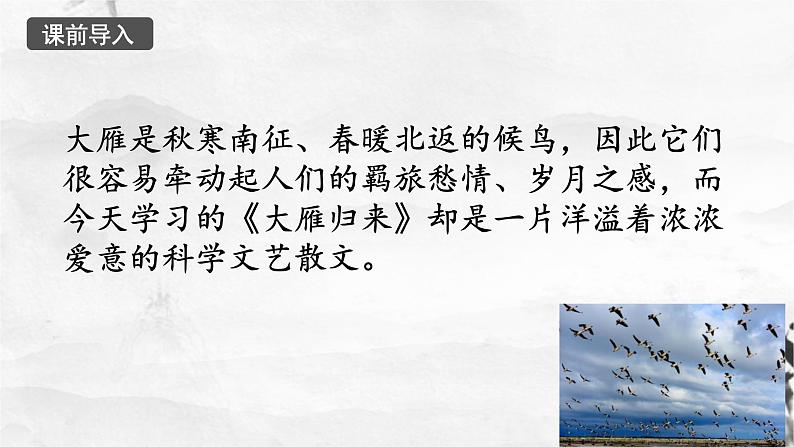 7大雁归来(1)课件PPT第5页