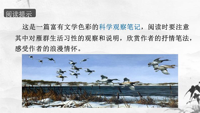 7大雁归来(1)课件PPT第8页