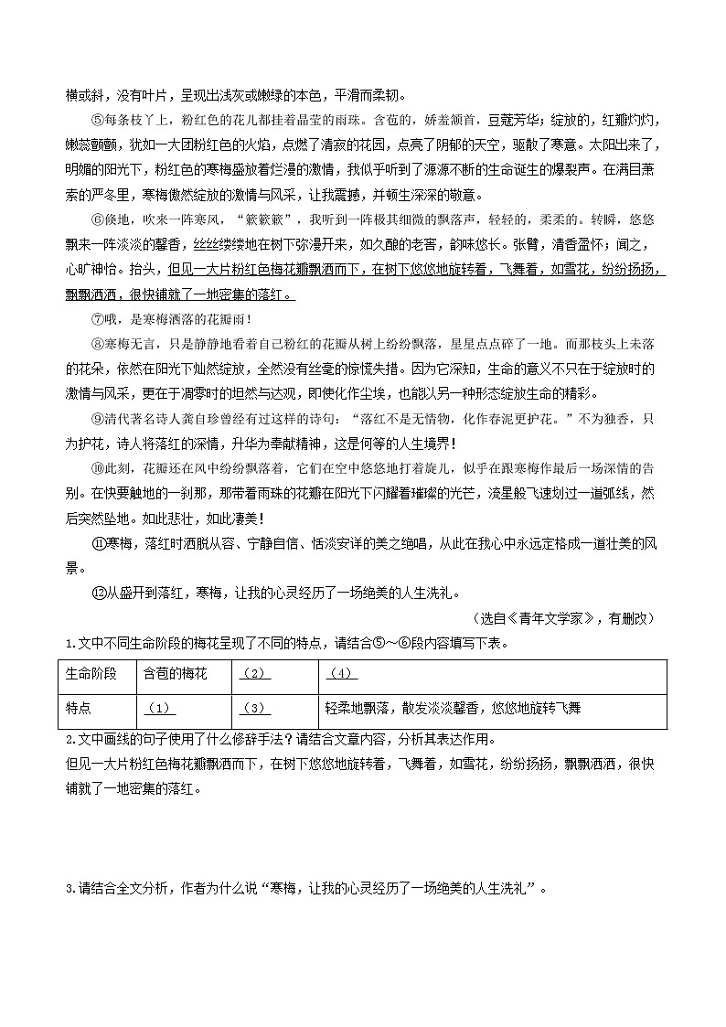 重点09 文学类文本阅读——散文（原卷版+解析版）-2023年中考语文【热点·重点·难点】专练（全国通用）02