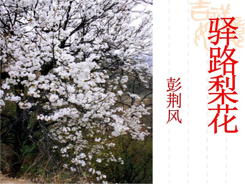 第15课《驿路梨花》课件第4页