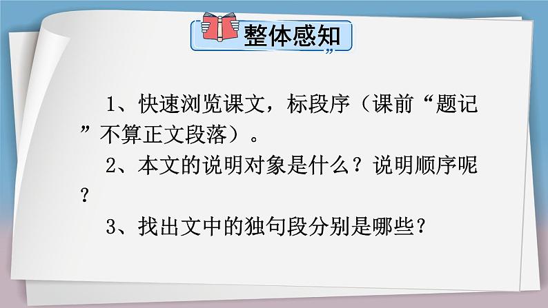 第8课《时间的脚印》课件第3页