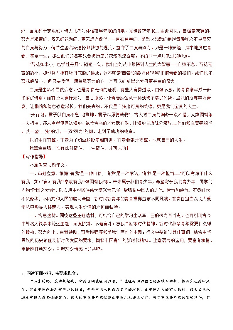 专题09+担当篇-【必背、必备】备战2023年中考语文热点主题作文范文及写作指导第3页