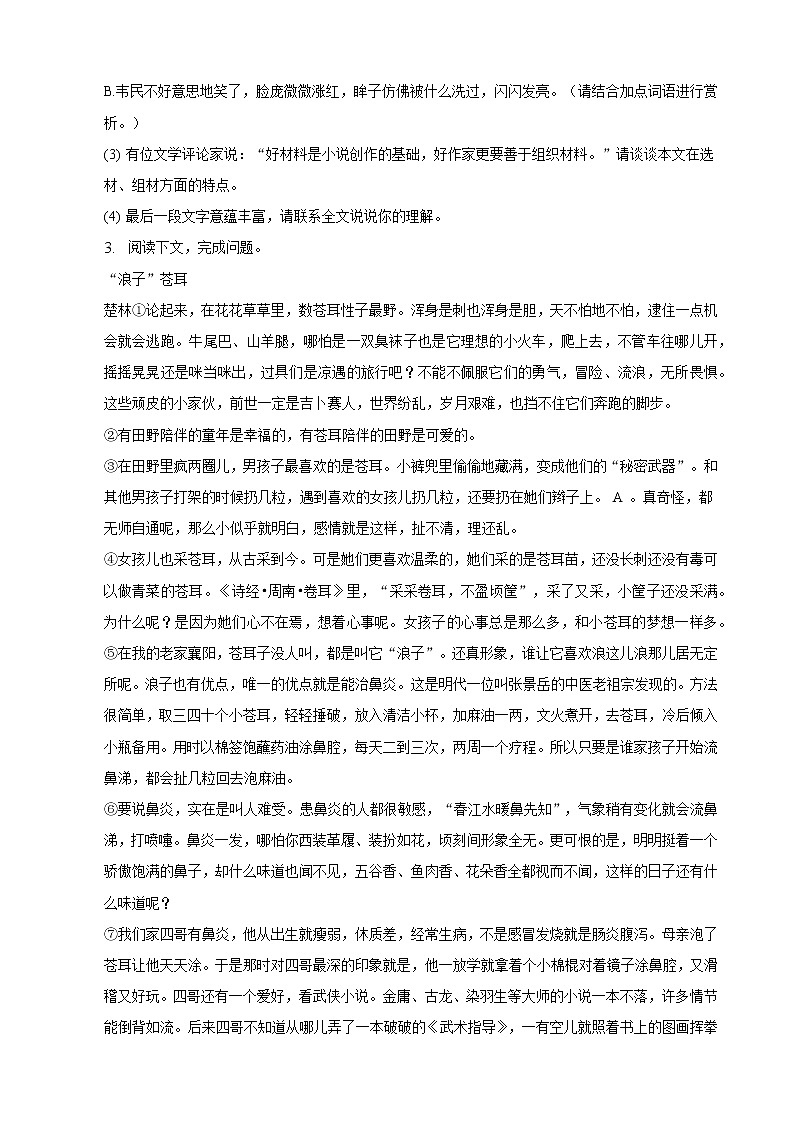 浙江省九年级中考备考语文专题复习：现代文阅读题（一）第3页