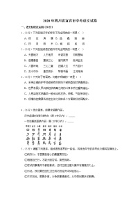 2020年四川省宜宾市中考语文试卷