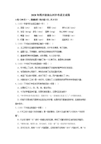 2020年四川省凉山州中考语文试卷