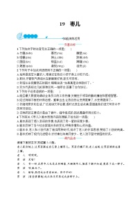 初中语文人教部编版九年级下册枣儿课时训练