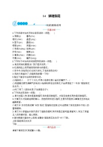 人教部编版驿路梨花同步训练题