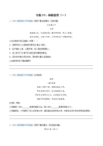 2023年中考语文必刷真题精选 专题09：诗歌鉴赏（一）（学生版+教师版）