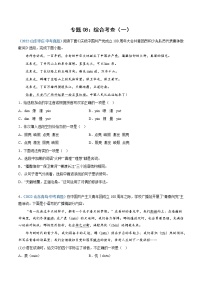 2023年中考语文必刷真题精选 专题08：综合考查（一）（学生版+教师版）