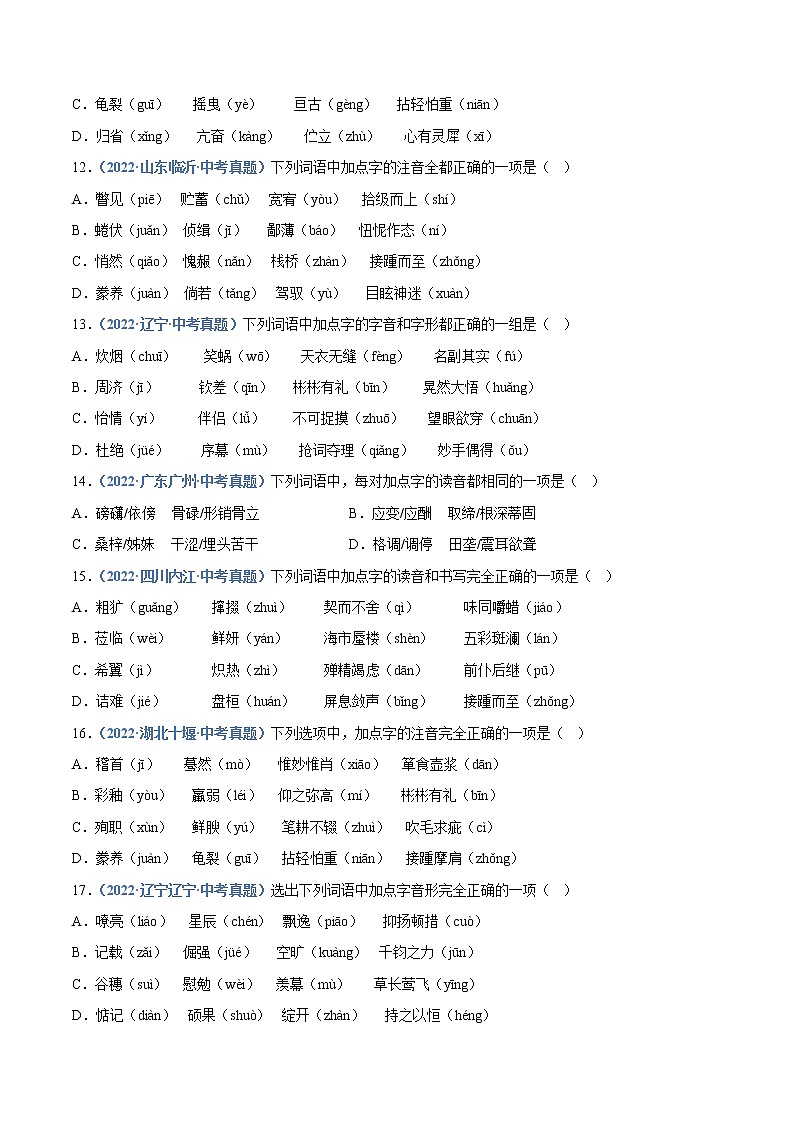 2023年中考语文必刷真题精选 专题01：字音（学生版+教师版）第3页