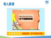 第4课 孙权劝学-2022-2023学年七年级语文下册同步教学课件