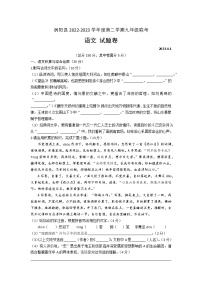 2023年安徽省涡阳县中考一模语文试题（含答案）