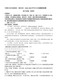 2023年新疆乌鲁木齐市高新区（新市区）中考模拟语文试题（含答案）