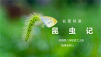 初中语文名著导读 《昆虫记》：科普作品的阅读课文内容ppt课件