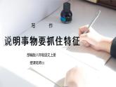 部编版八年级语文上册写作《说明要抓住特征》PPT课件
