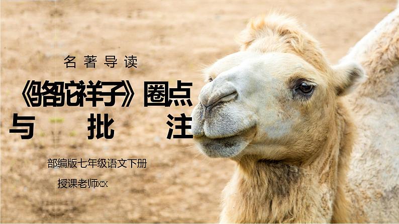 部编版七年级语文下册名著导读《骆驼祥子圈点与批注》PPT课件第1页