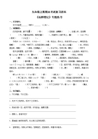 人教部编版九年级上册岳阳楼记课后作业题