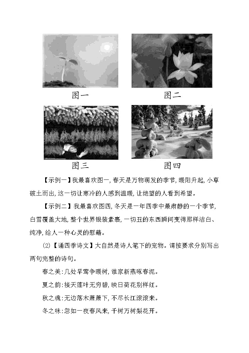 第5课《我看》习题1-九年级语文上册统编版第3页